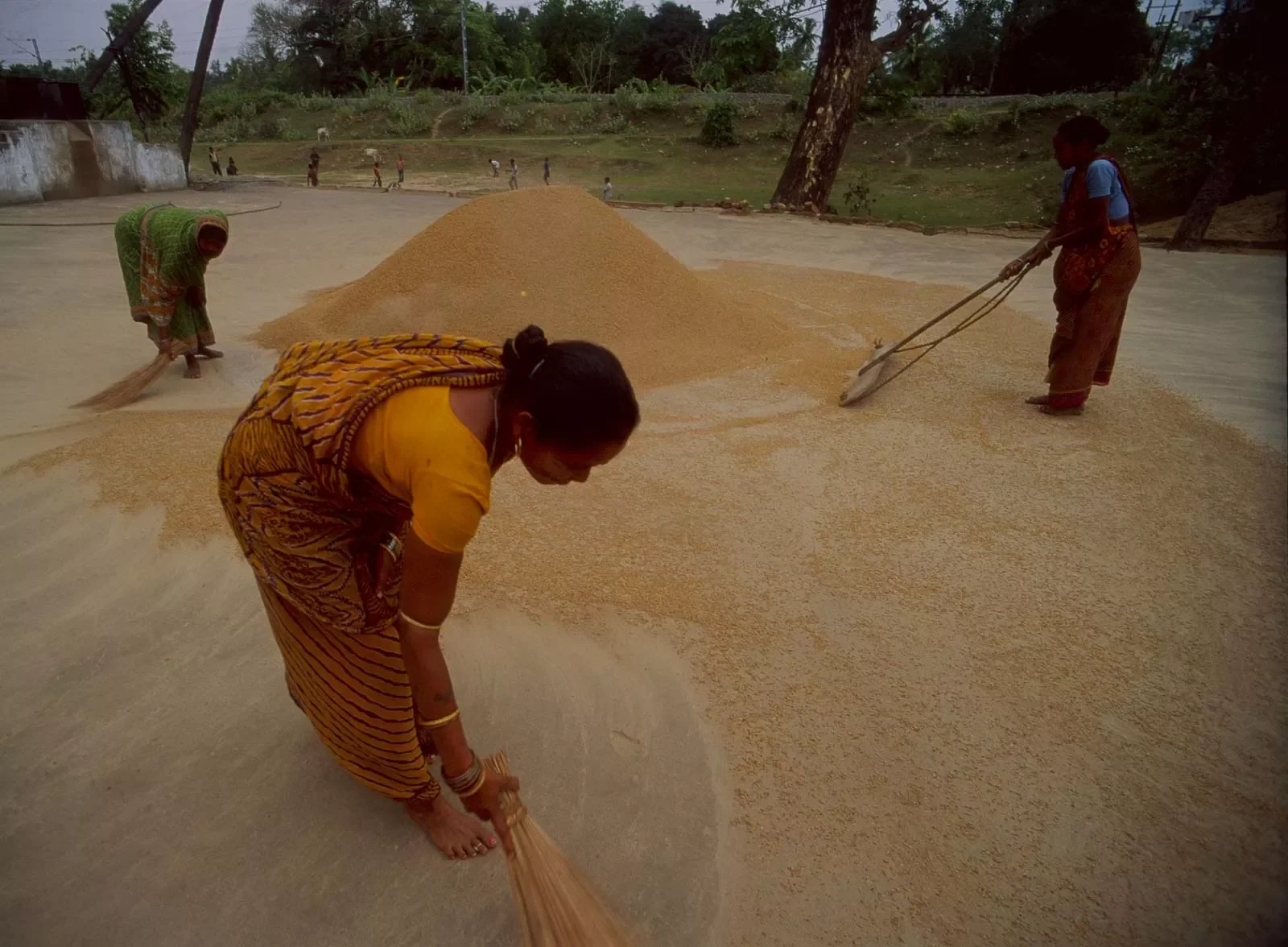 Puri_Laxshmi_Puja_Orissa_India_48_cropped.webp