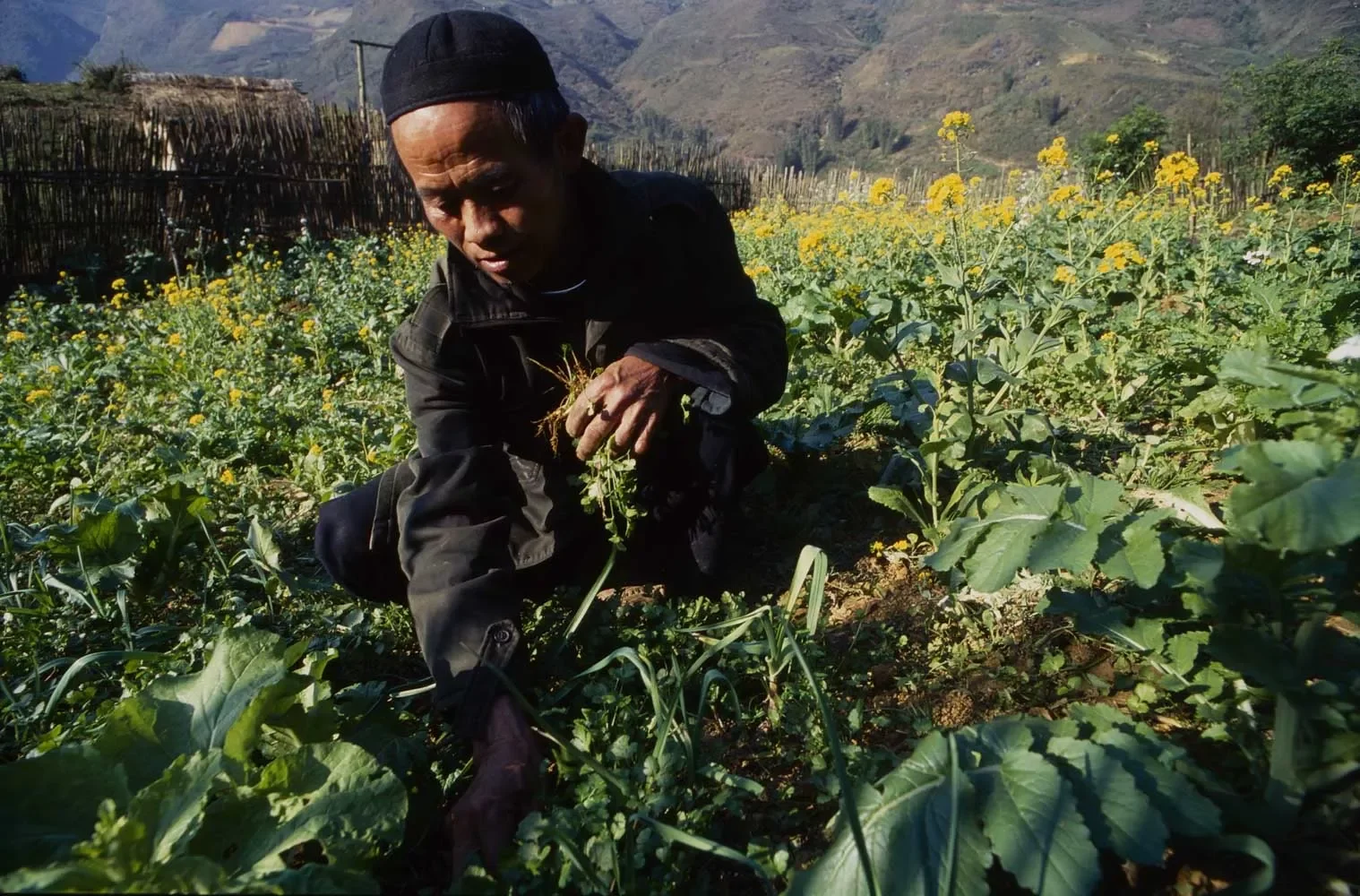 Hmong_Sapa_Vietnam_1996_UMS35mm_155.webp