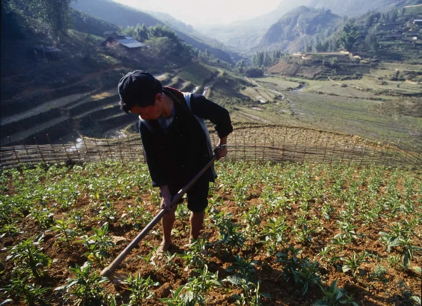 Hmong_Sapa_Vietnam_1996_UMS35mm_164.webp
