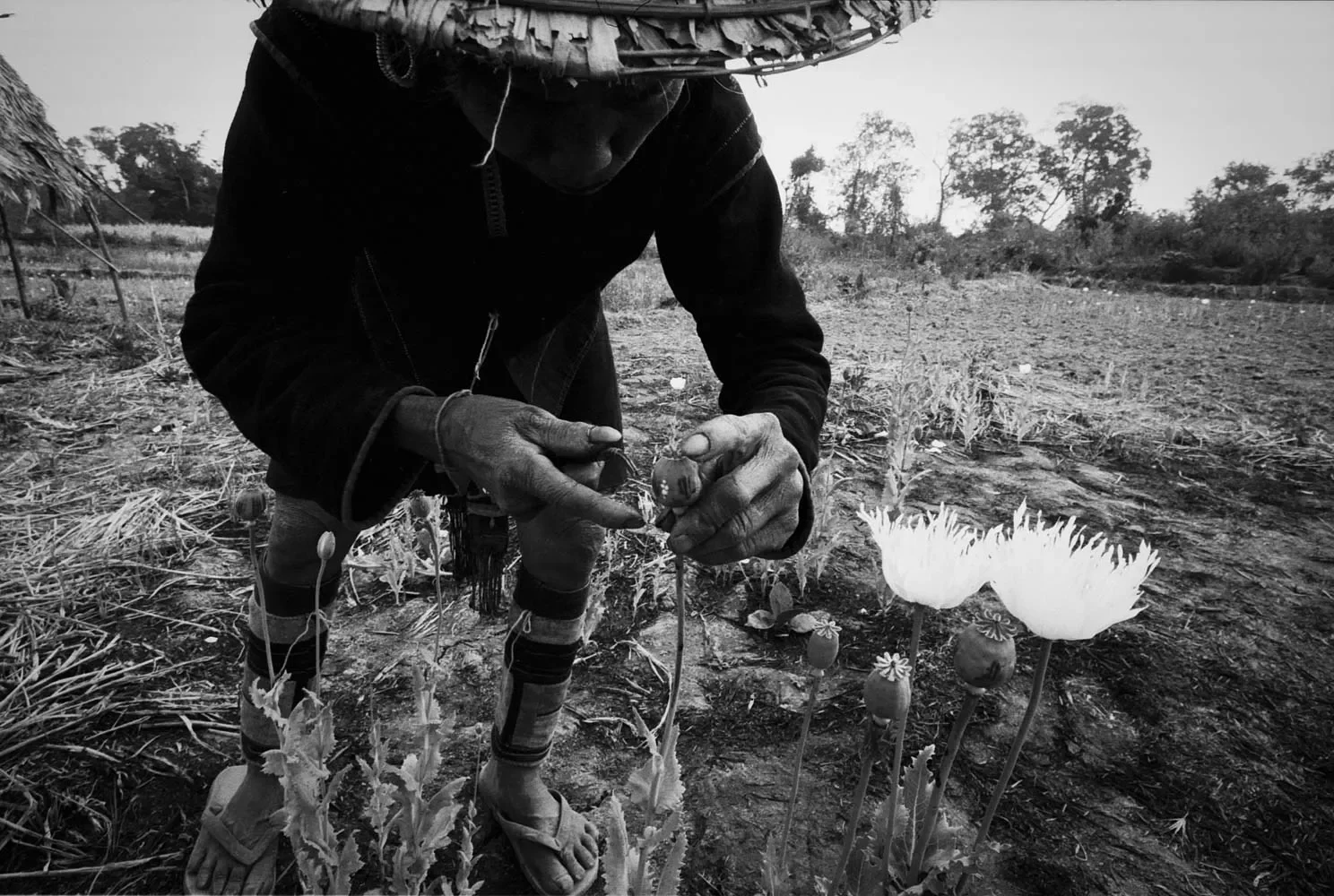 HmongCommunity_Sapa_Vietnam_1996_35mmBW_172.webp