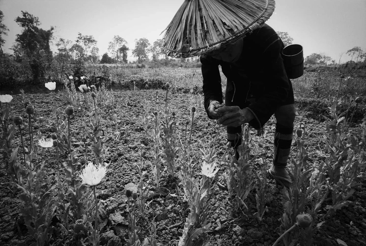 HmongCommunity_Sapa_Vietnam_1996_35mmBW_192.webp