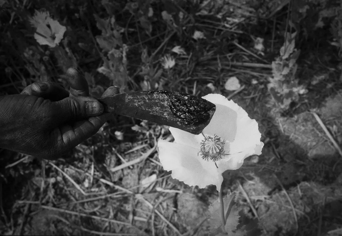 HmongCommunity_Sapa_Vietnam_1996_35mmBW_203.webp