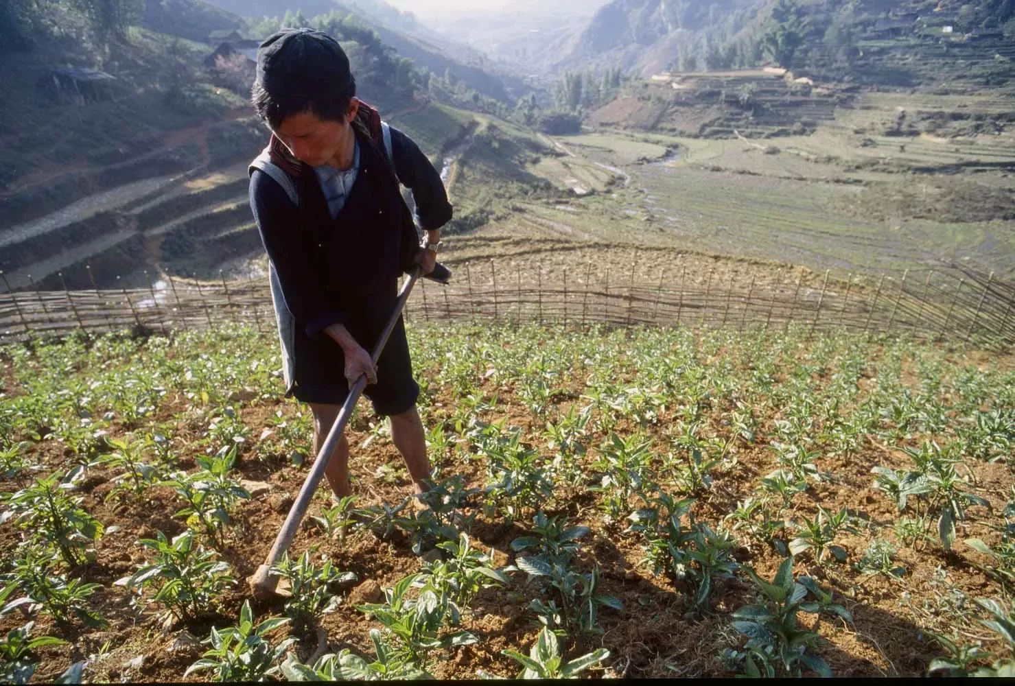 Sapa_Vietnam_144.webp