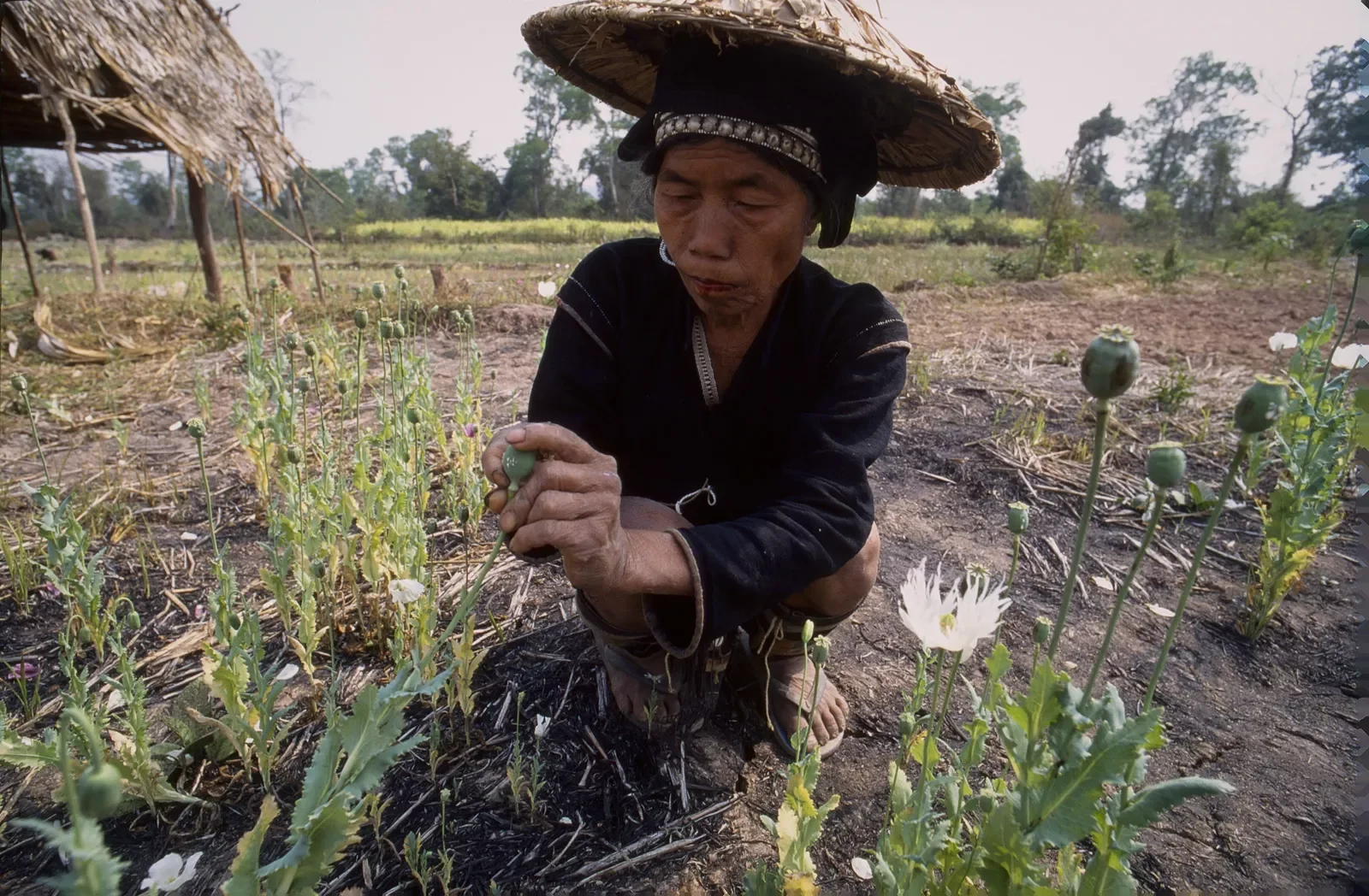 Hmong_Community_Muang_Sing_Laos_MS35mm_69.webp