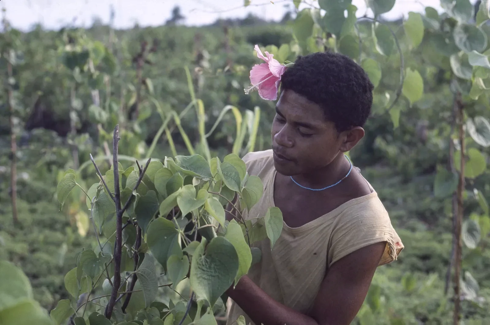 Kiriwina_Trobriand_Islands_PNG_©Liz-Thompson_119_PS.webp