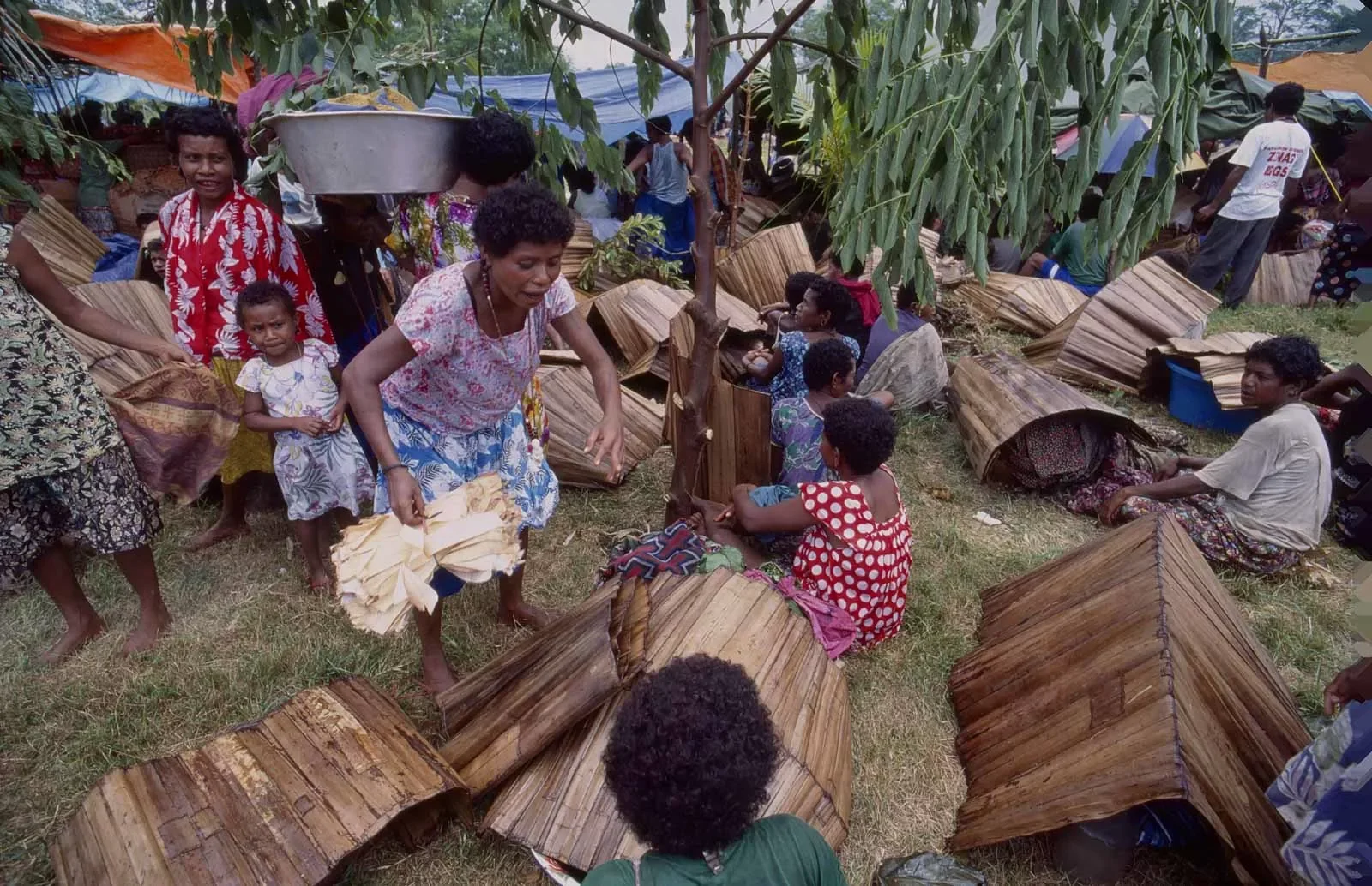Kiriwina_Trobriand_Islands_PNG_MS35mm_47._PSjpg.webp