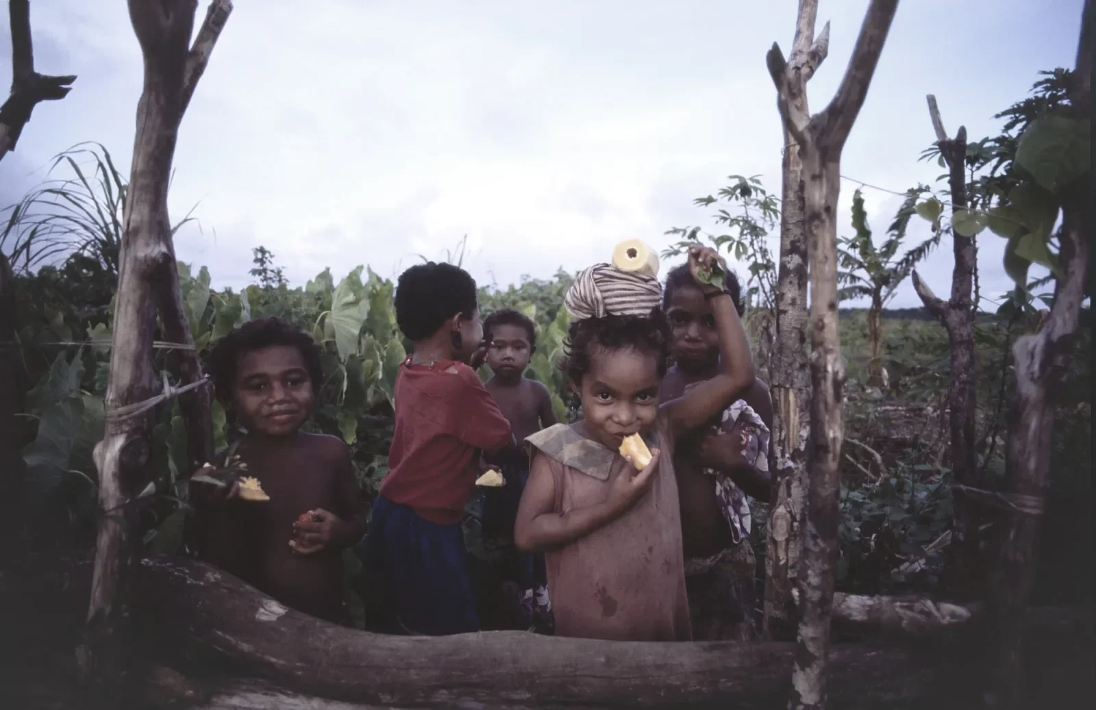 Kiriwina_Trobriand_Islands_PNG_MS35mm_49_PS.webp