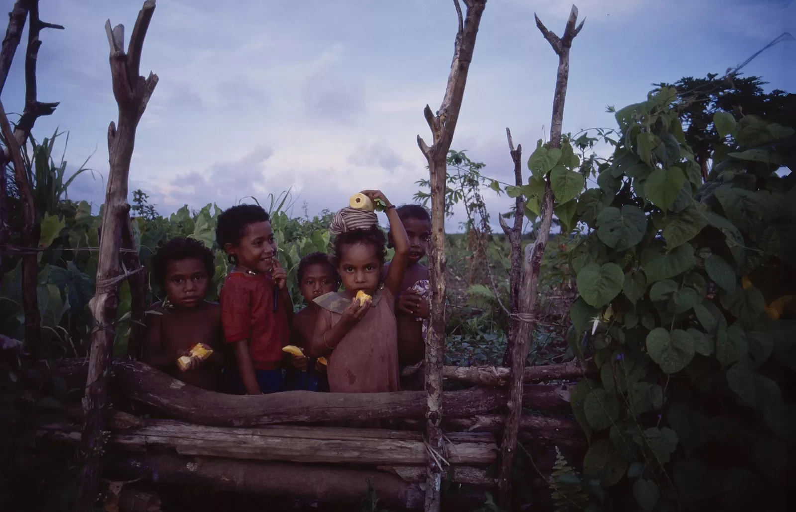 Kiriwina_Trobriand_Islands_PNG_MS35mm_132_PS.webp