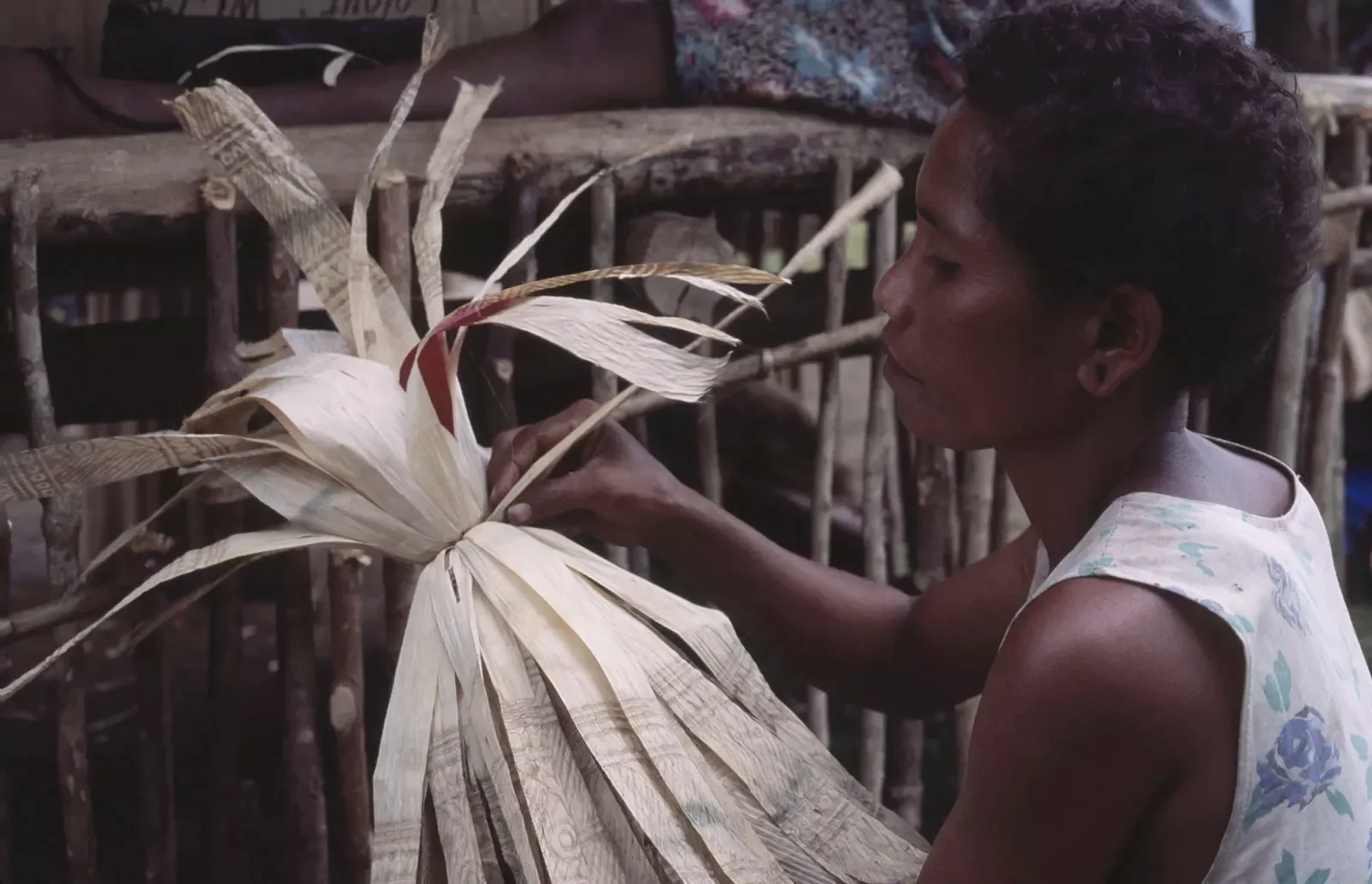 Kiriwina_Trobriand_Islands_PNG_MS35mm_135_PS.webp