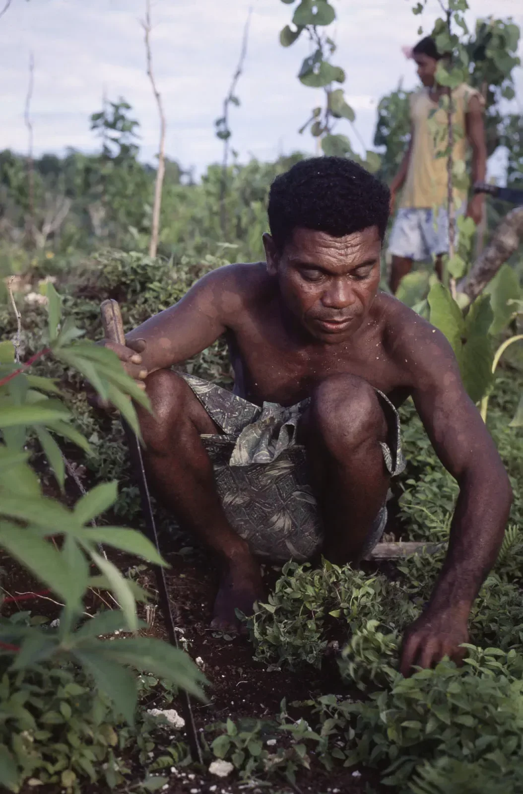 Kiriwina_Trobriand_Islands_PNG_MS35mm_164_PS.webp