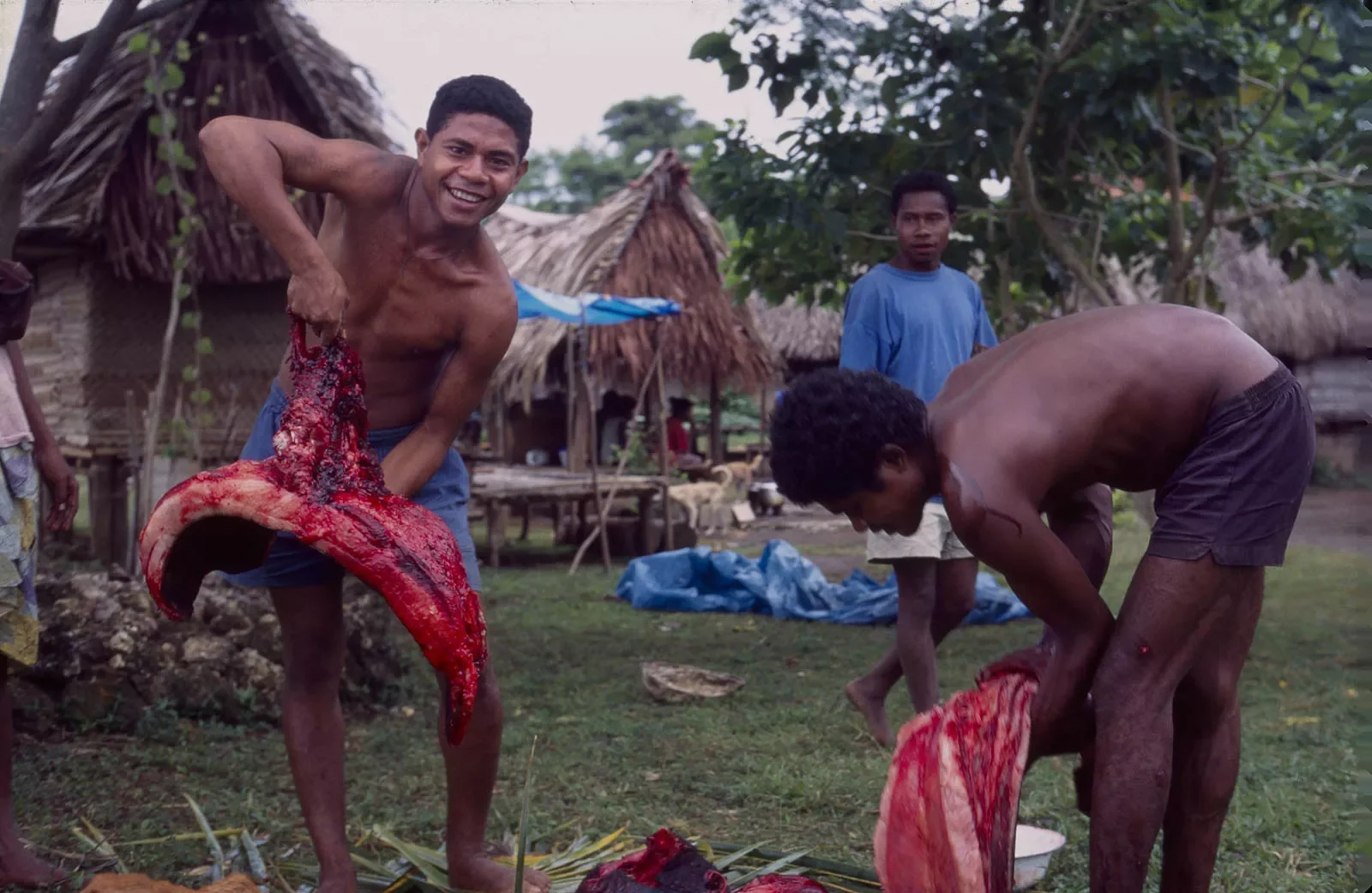 Kiriwina_Trobriand_Islands_PNG_MS35mm_165_PS.webp