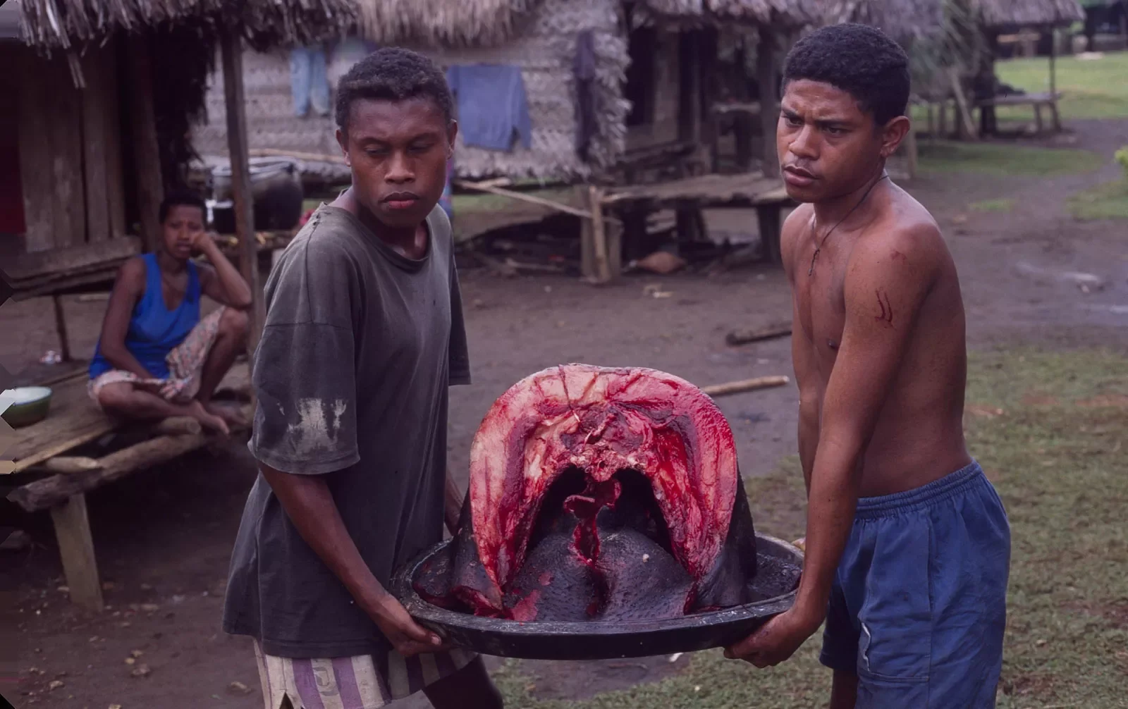Kiriwina_Trobriand_Islands_PNG_MS35mm_169_PS.webp