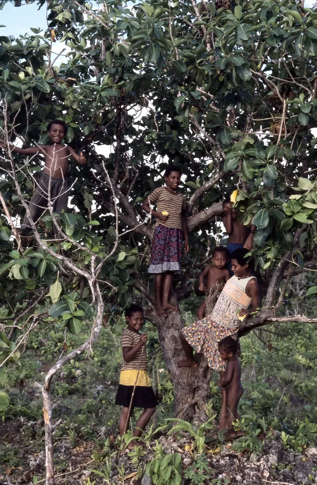 Kiriwina_Trobriand_Islands_PNG_PSMS35mm_41.webp