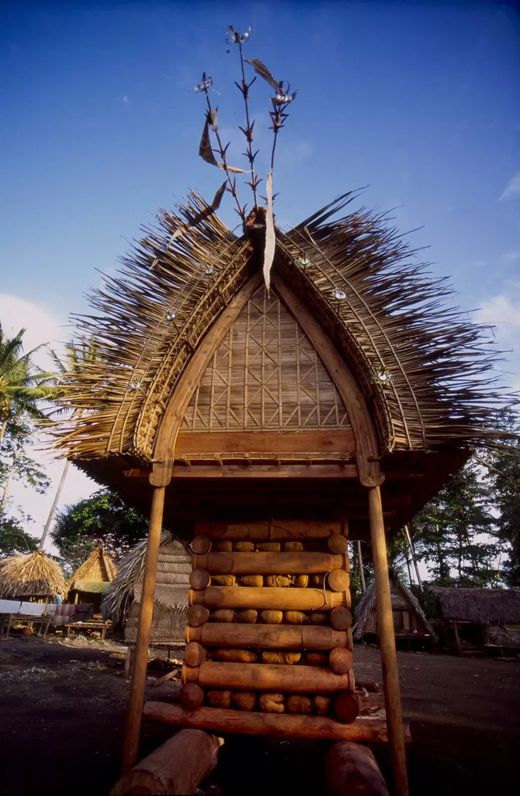 Kiriwina_Trobriand_Islands_PNG_PSMS35mm_45 (2).webp