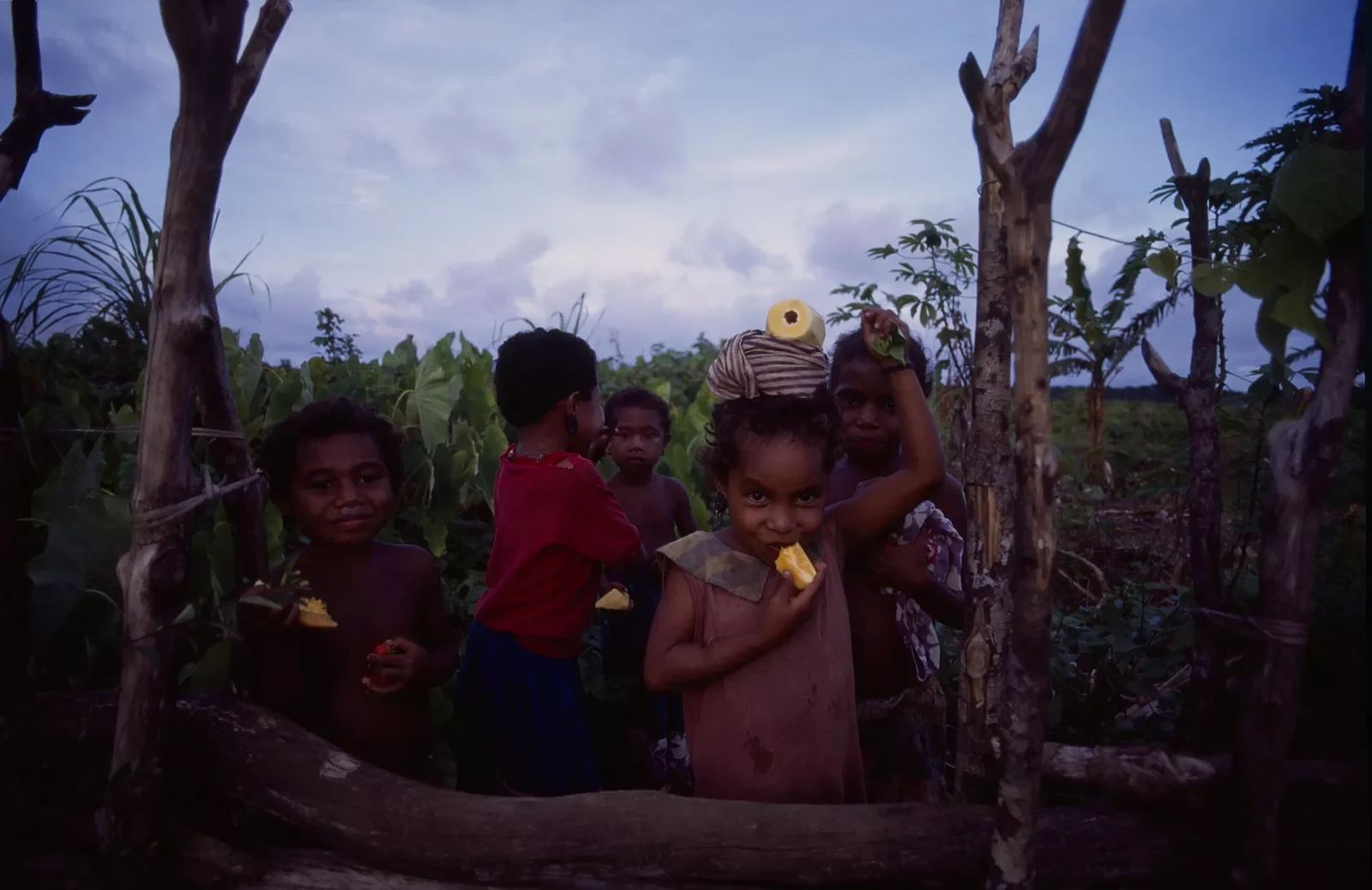 Kiriwina_Trobriand_Islands_PNG_PSMS35mm_49.webp