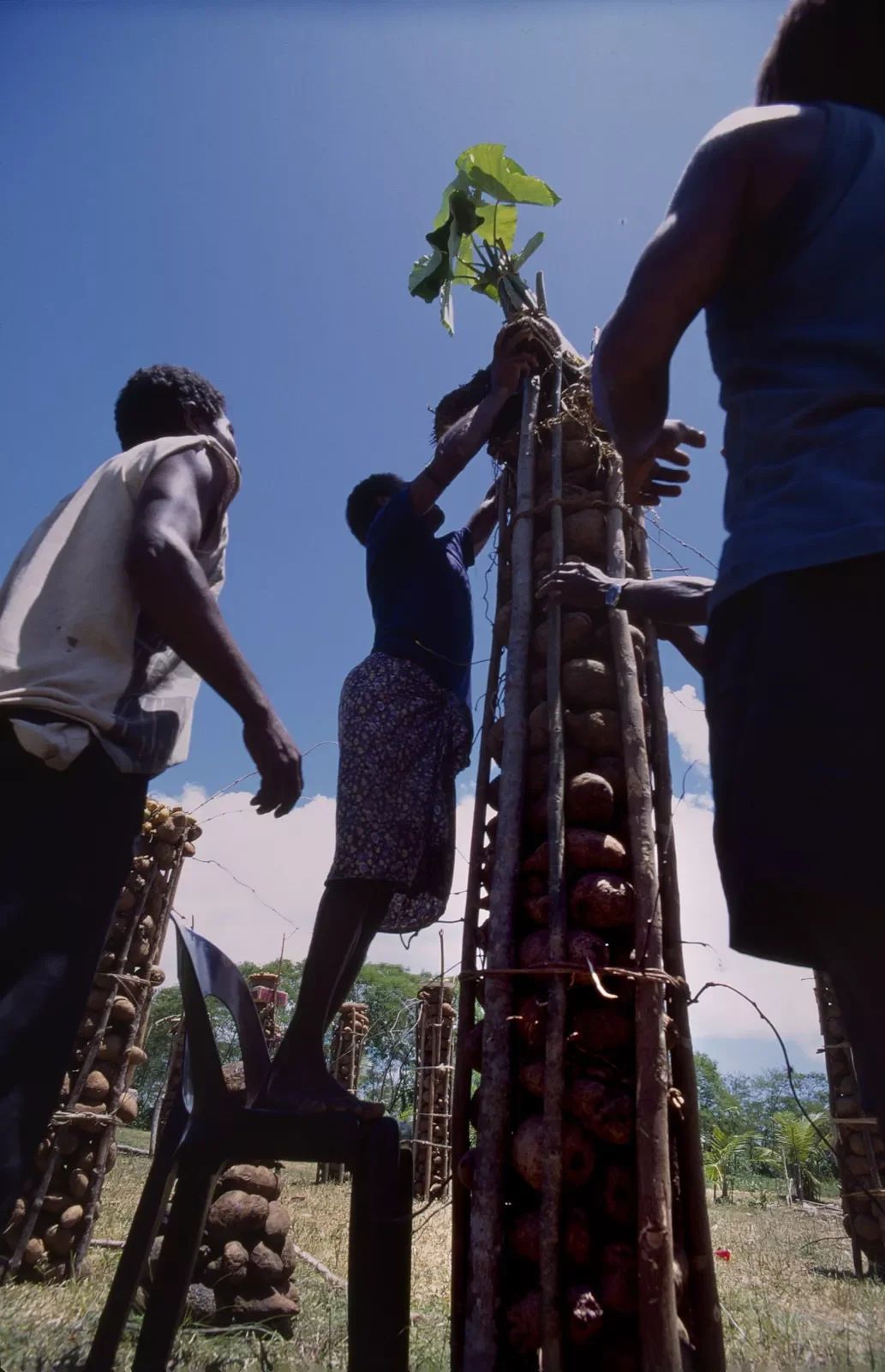 Kiriwina_Trobriand_Islands_PNG_PSMS35mm_77.webp