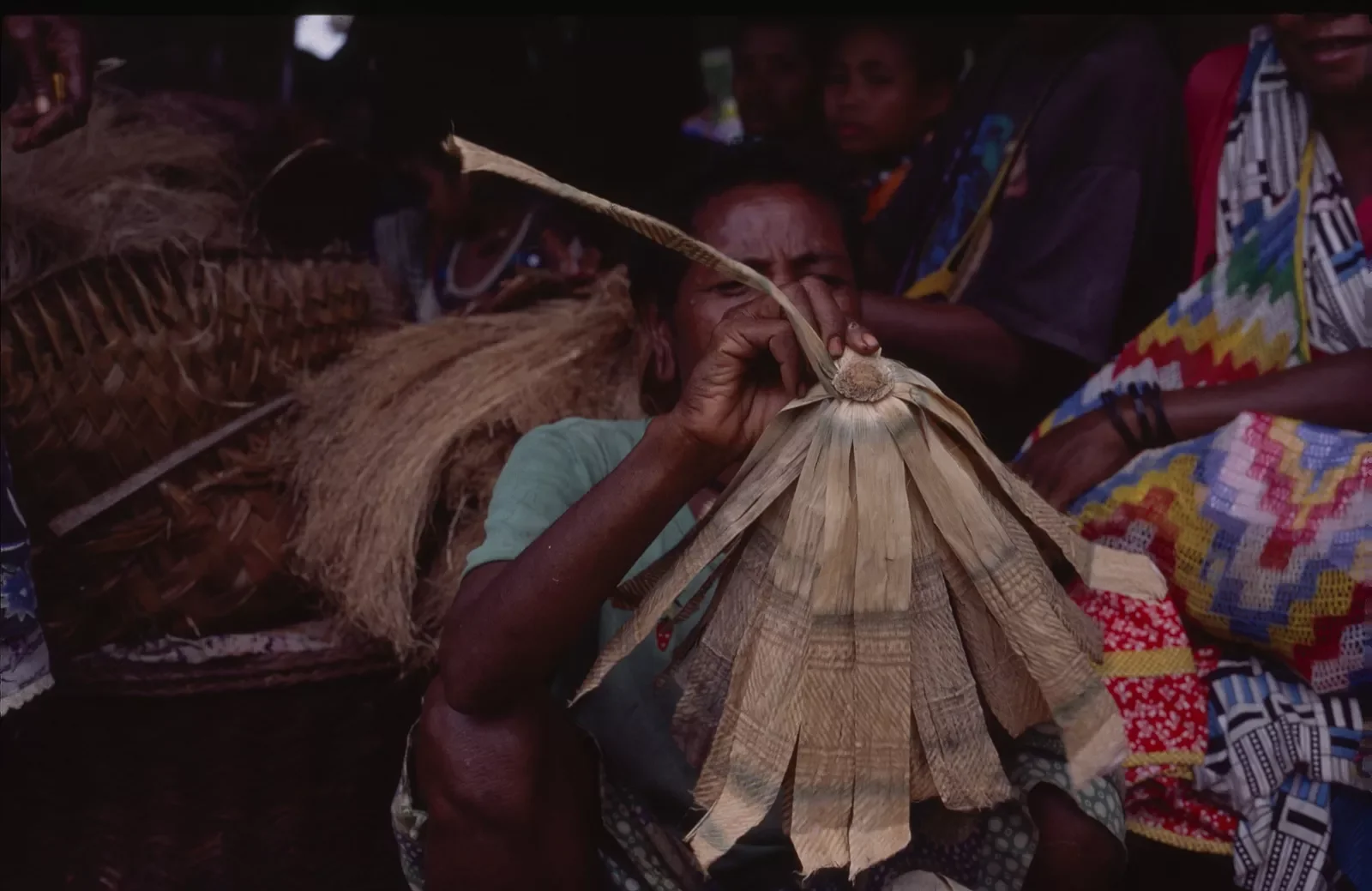 Kiriwina_Trobriand_Islands_PNG_PSMS35mm_90.webp
