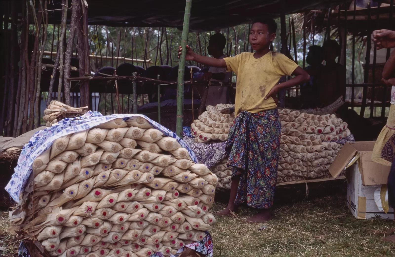 Kiriwina_Trobriand_Islands_PNG_PSMS35mm_134.webp