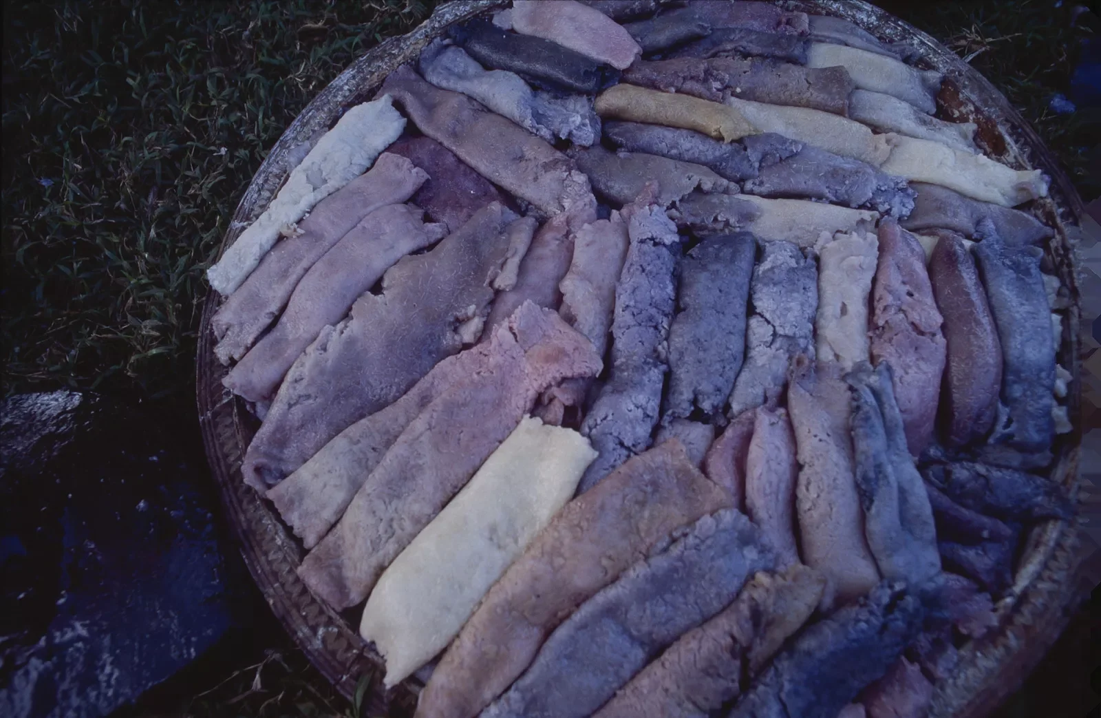 Kiriwina_Trobriand_Islands_PNG_PSMS35mm_170.webp