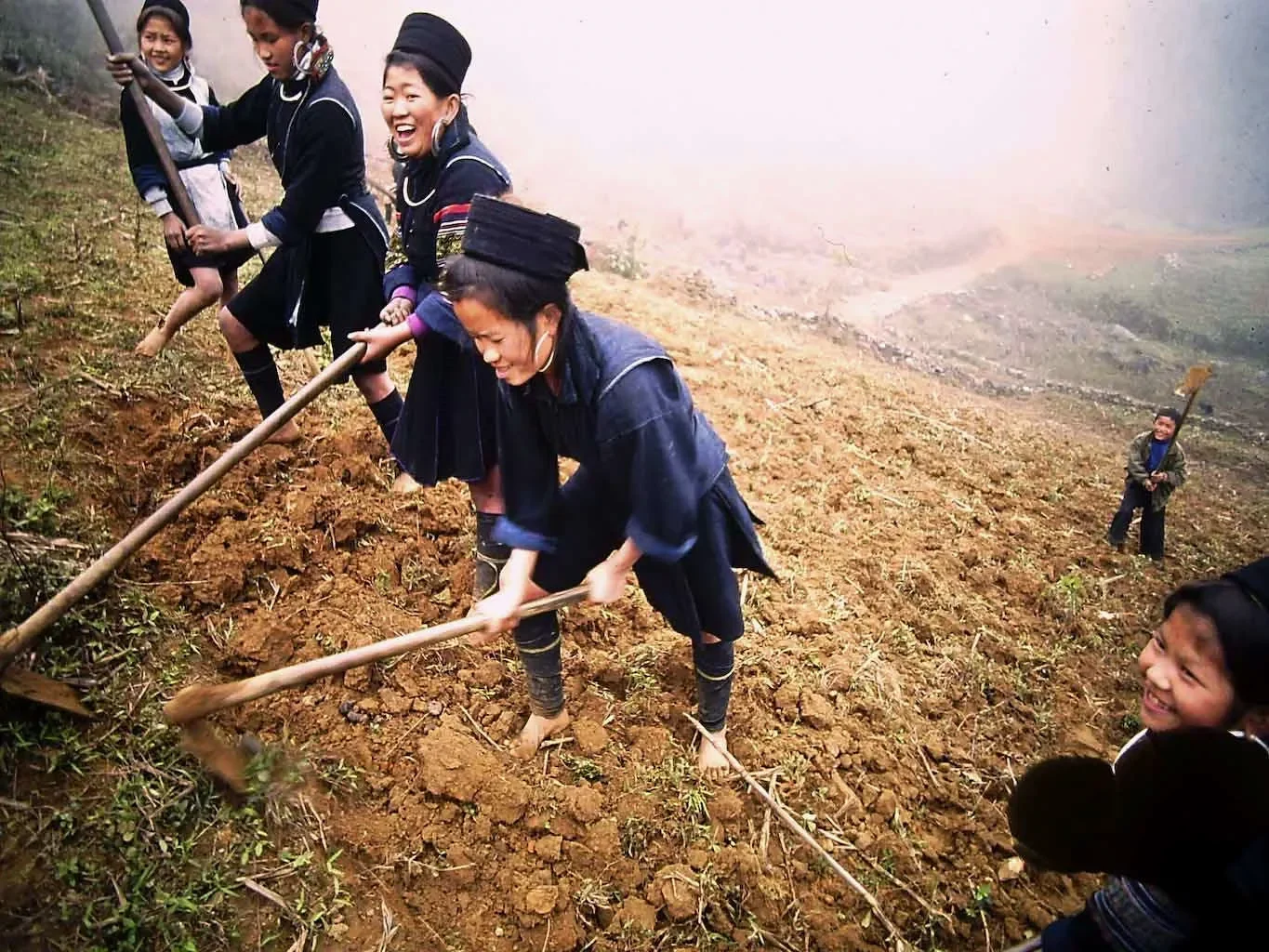 hmong_143.webp
