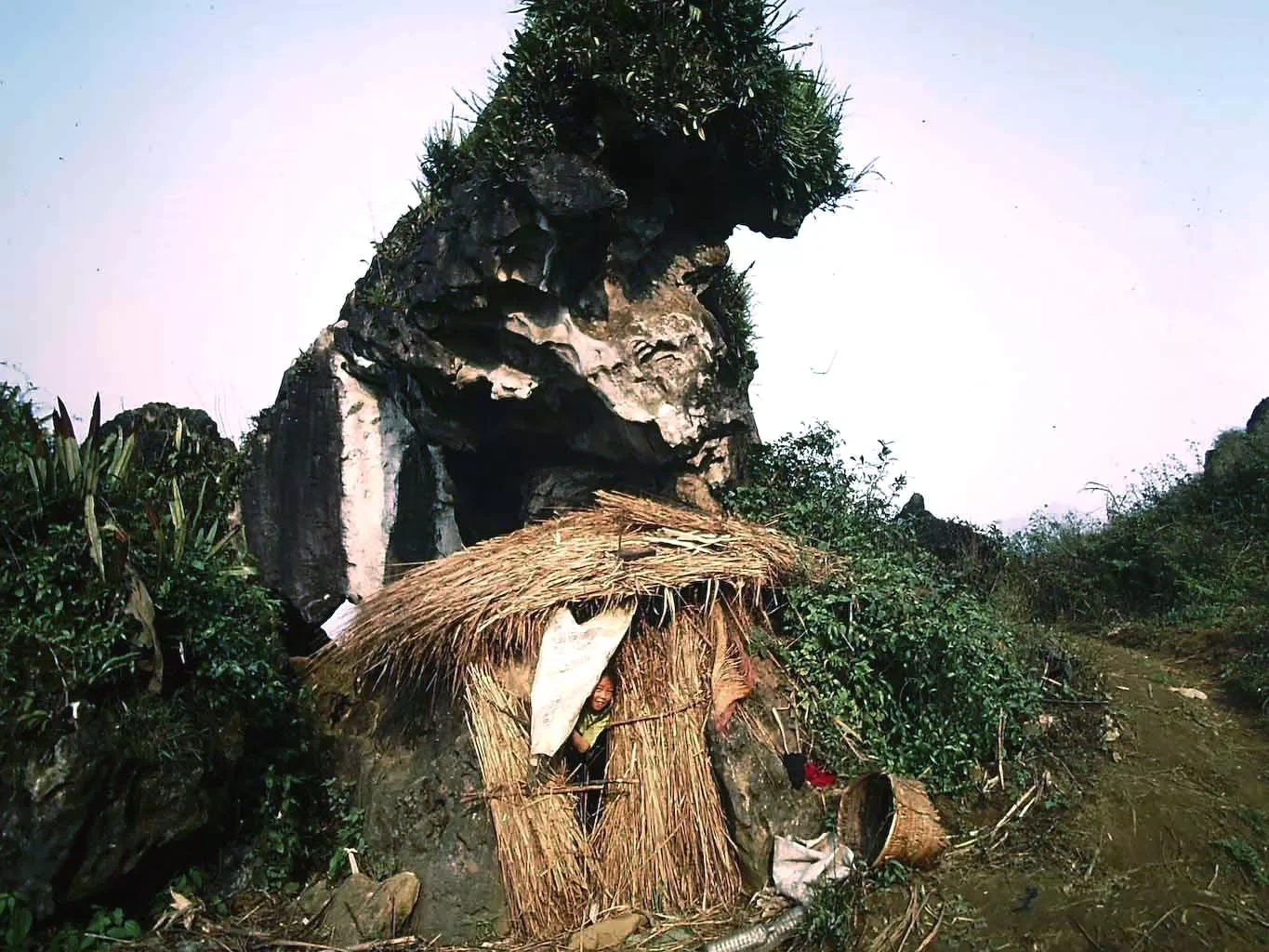 hmong_145.webp