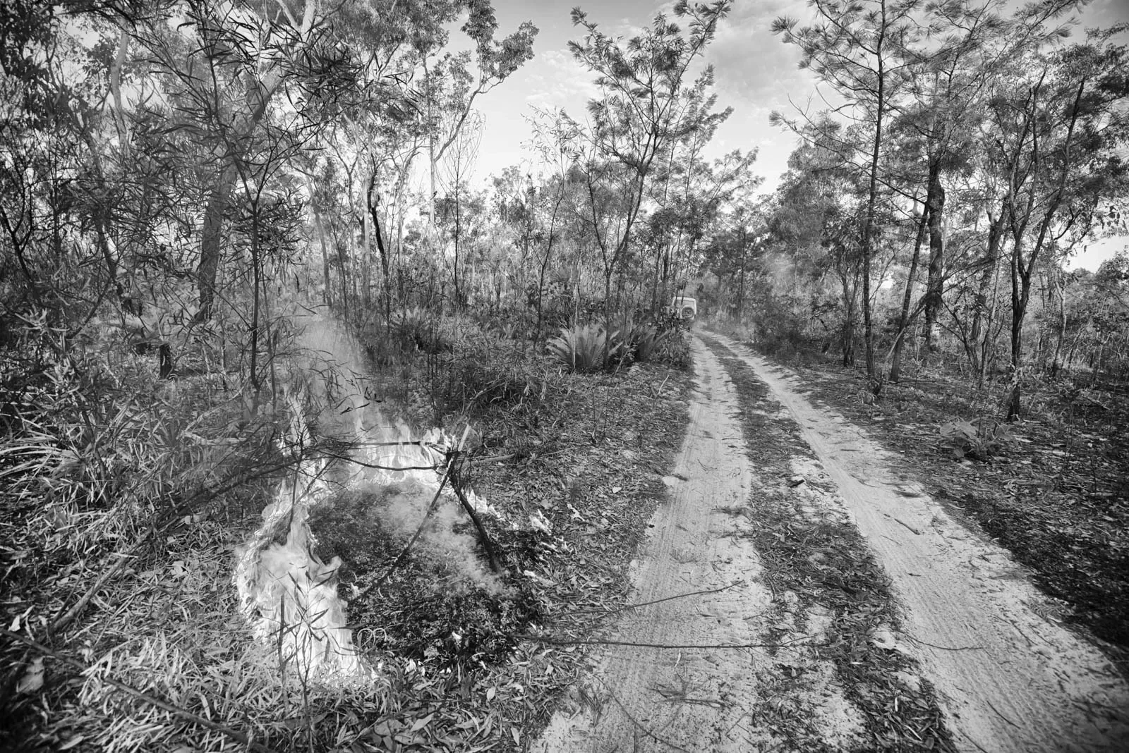 Wagilak_spare_DSC_6319_BW.webp
