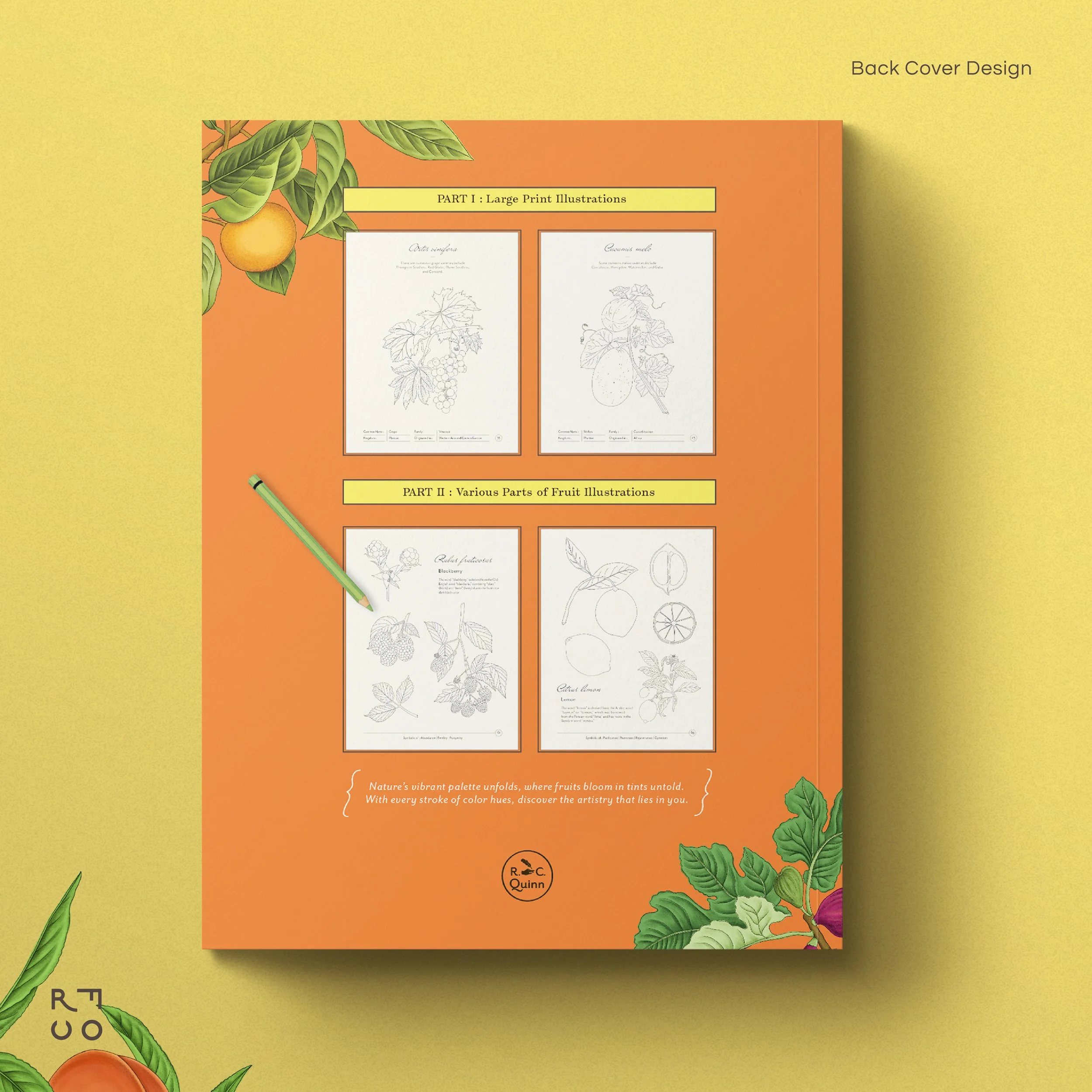 2404-Showcase-The Story of Fructus-Fb-4.jpg