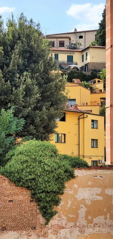 Colorful hillside buildings with green trees and bushes in the foreground and blue sky with clouds above.