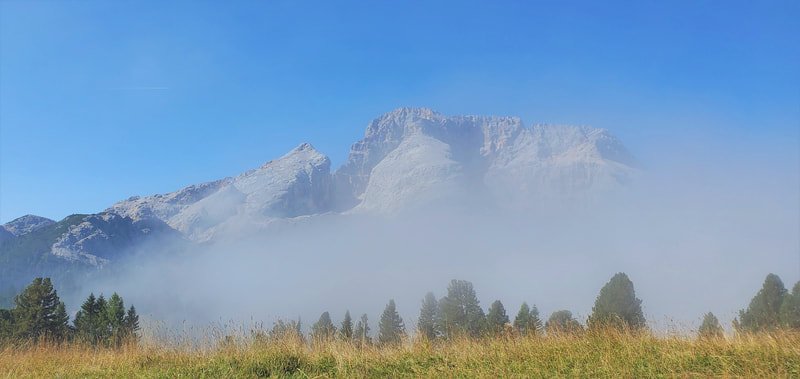 Snow-covered mountain range with a layer of fog near the trees in the foreground, under a clear blue sky.