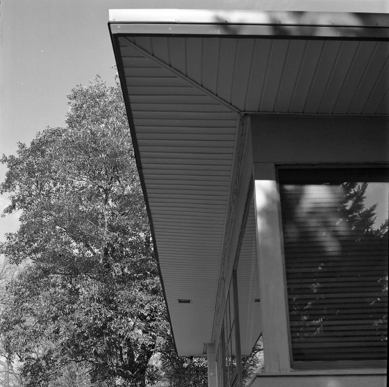 Close-up view of the corner of a modern house with a metallic roof overhang, a window with horizontal blinds, and a large tree with dense foliage in the background.