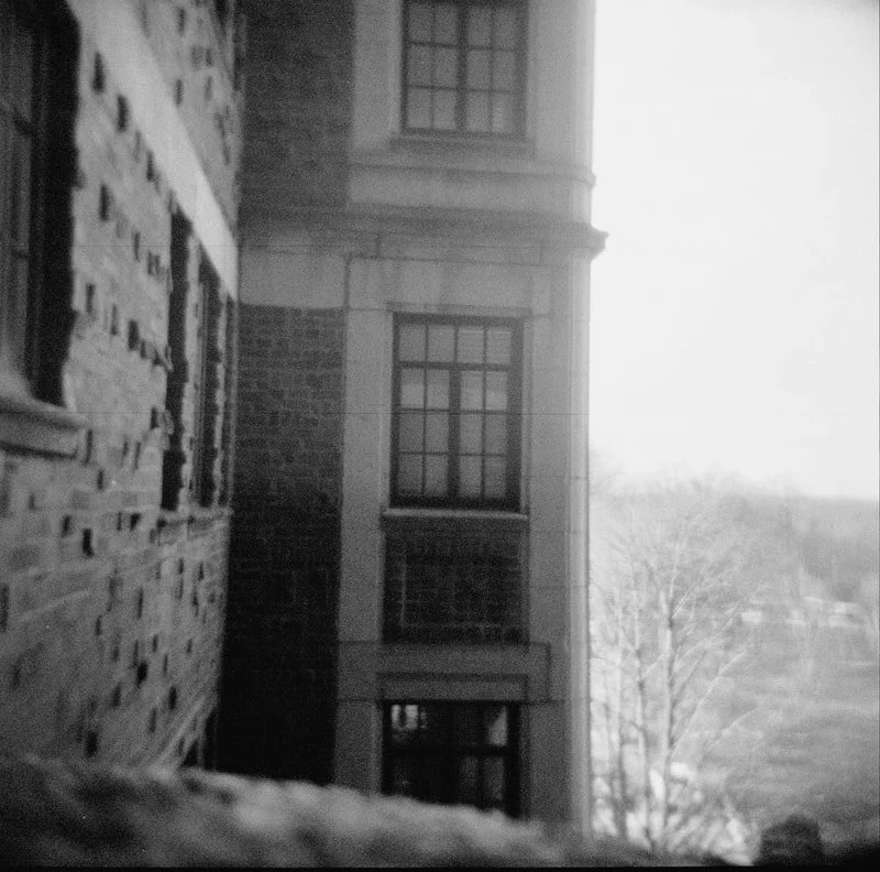 Black and white photo of a brick building with windows and a tree in the background.
