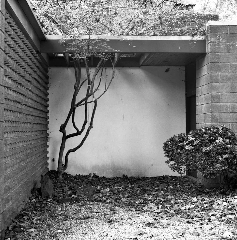 A small outdoor garden area with a bare tree, a bush, and fallen leaves on the ground, enclosed by a brick wall on the right and a lattice fence on the left, with a partial roof overhead.