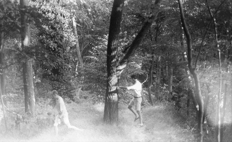 Two children playing outdoors in a wooded area, one climbing a tree and the other walking nearby.