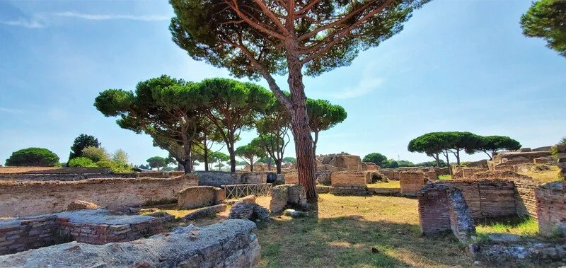 Ancient ruins with stone walls and scattered bricks, tall pine trees, and a clear blue sky.