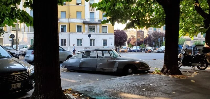 An abandoned vintage car parked between two trees on a city street, with modern cars and buildings in the background.