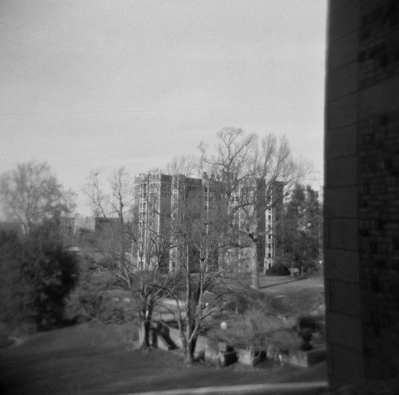 Black and white photo of a residential neighborhood with leafless trees, a grassy yard, and a tall building in the background, partially obscured by tree branches.