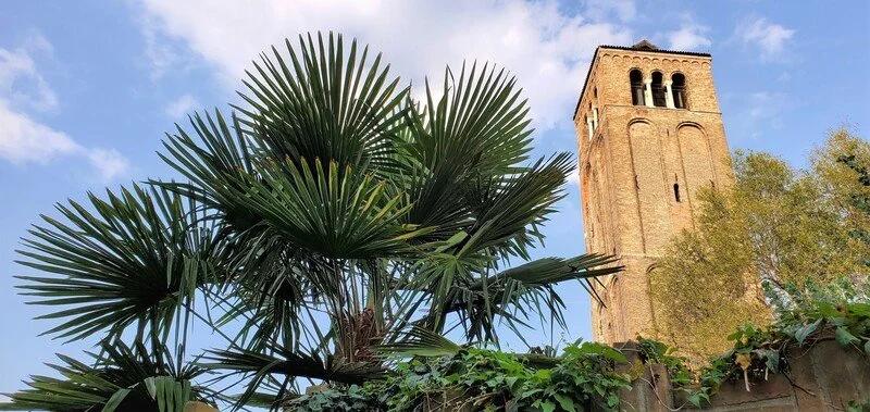 A brick bell tower with arched windows surrounded by lush greenery including a palm tree, under a partly cloudy sky.