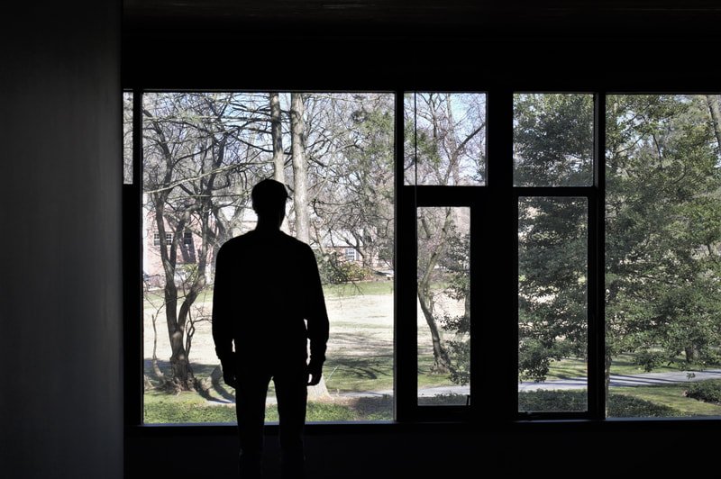 A silhouette of a person standing inside looking out through large window panes at trees and a grassy area outside.