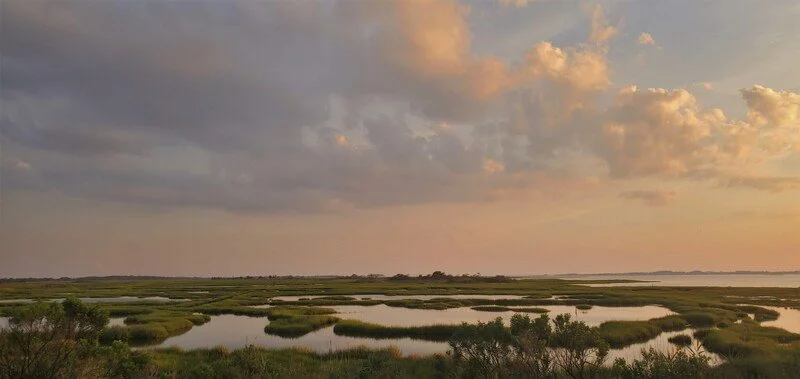 A wetland landscape at sunset with water, grassy patches, and a partly cloudy sky.