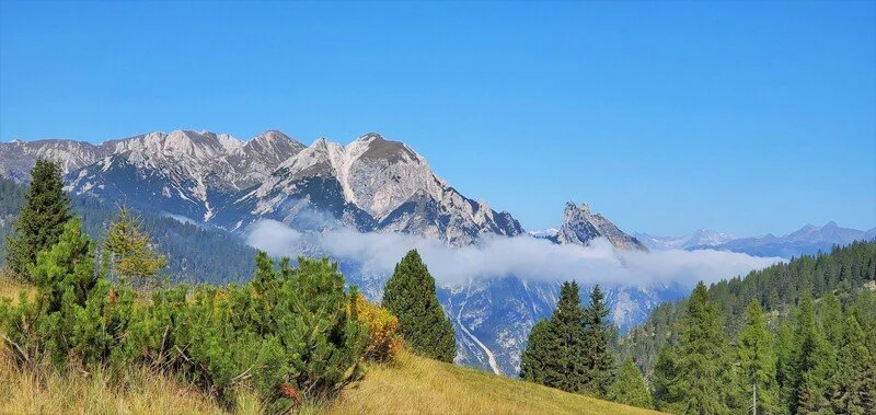 A mountainous landscape with rocky peaks, a layer of mist or low clouds, and a foreground of green trees and grassy hills under a clear blue sky.