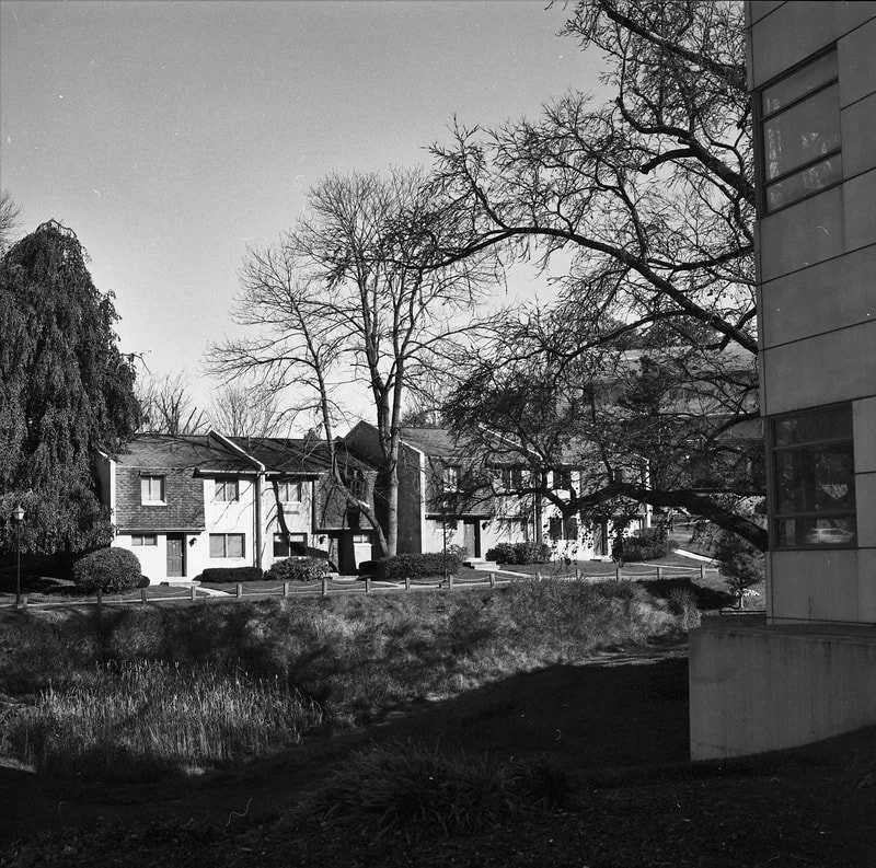 Black and white photo of a residential neighborhood with trees, bushes, houses, and a modern building on the right.
