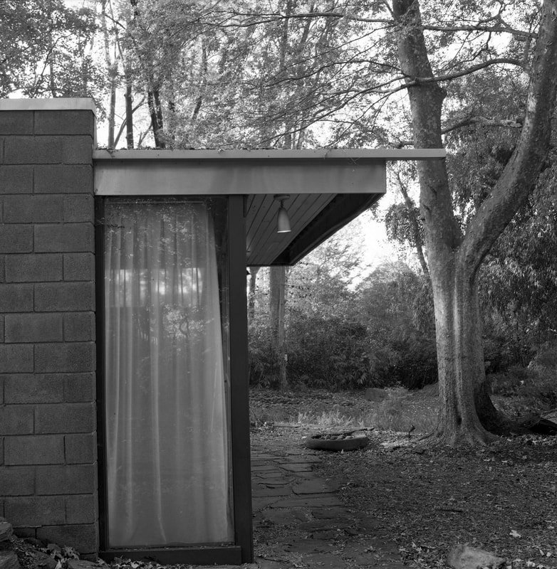 Black and white photo of the side of a house with a large window with curtains, a brick wall, and a tree in the yard.