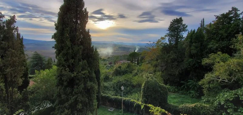 View of a lush green landscape with tall trees, rolling hills, and a cloudy sky during sunset.