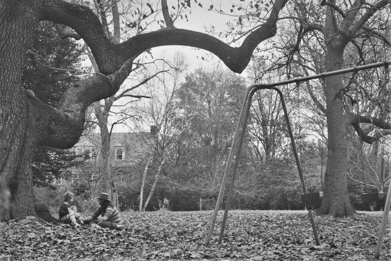 Two children sitting on fallen leaves under large trees in a park while an adult helps one of them, with a swing set nearby and a house in the background.