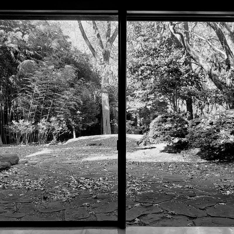 Black-and-white photo of an outdoor garden seen through double glass doors, with trees, bushes, and a stone pathway.