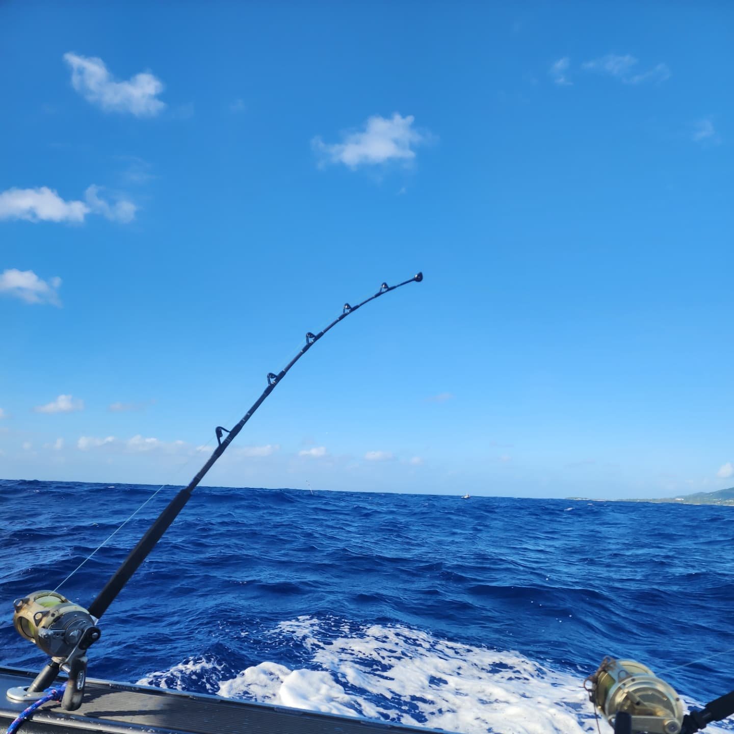 The team has been busy🎣!!! We've met some pretty cool customers, and we have been completely distracted by some cool ocean friends 💙 🦈 🐋 

Book your spot today www.intothebluerarotonga.com 
Call +68276715

#notphotographers #intothebluerarotongac