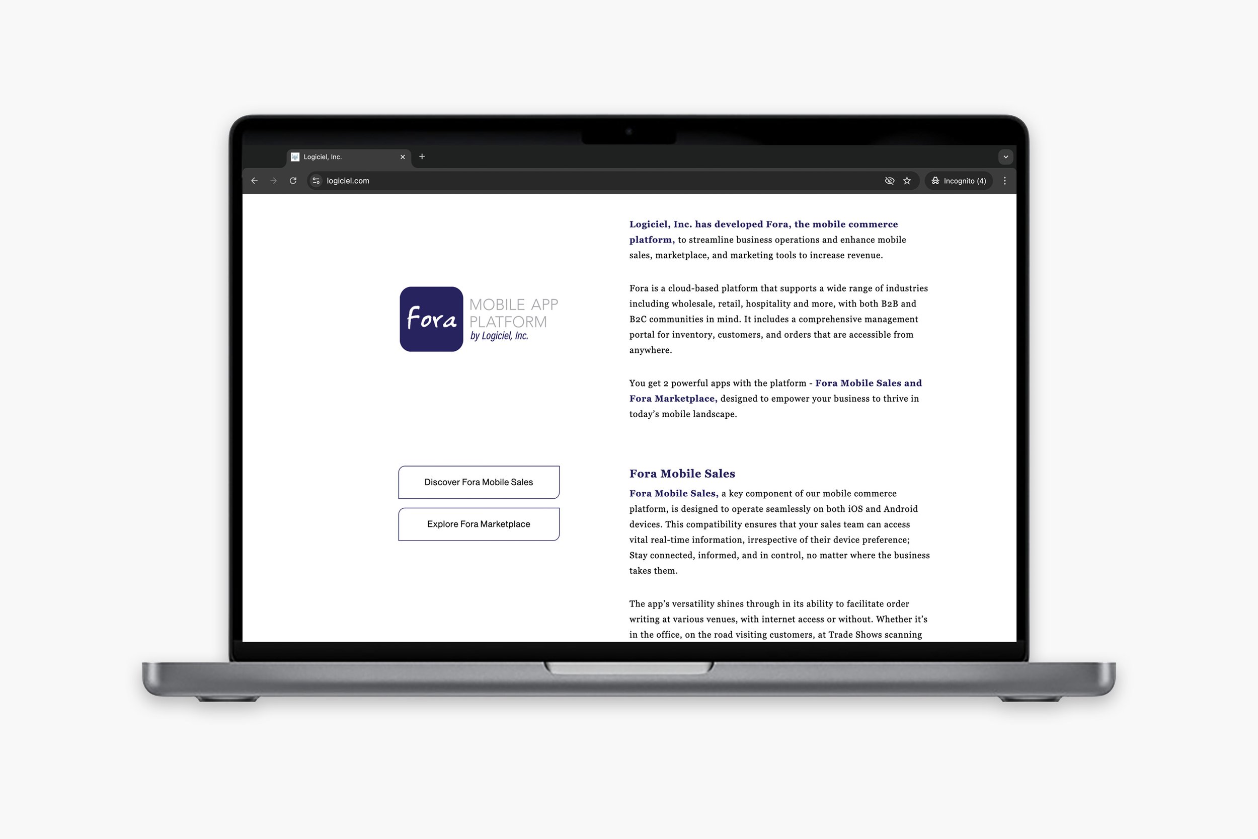 laptop-logiciel home page2B.jpg