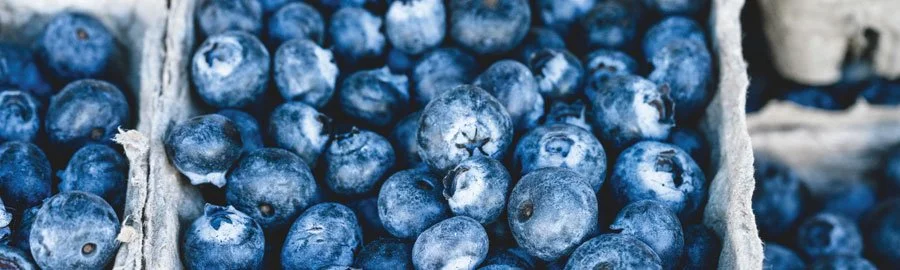 farmers-market-theme2.jpg