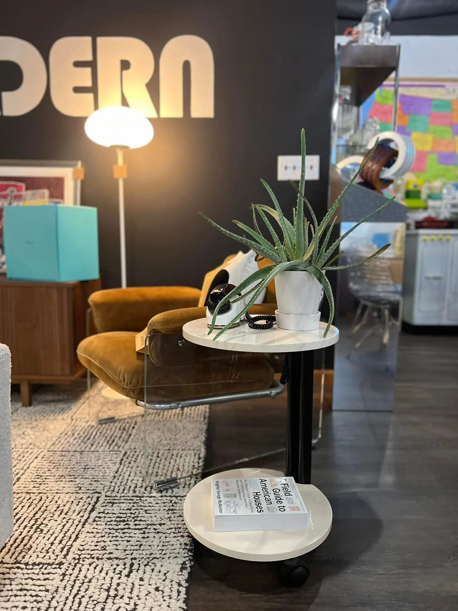 A small round white side table with a potted aloe vera plant on top and a book titled 'Field Guide to American Houses' on the lower shelf. In the background, there are vintage chairs, a lamp, and various decor items in a cozy room.