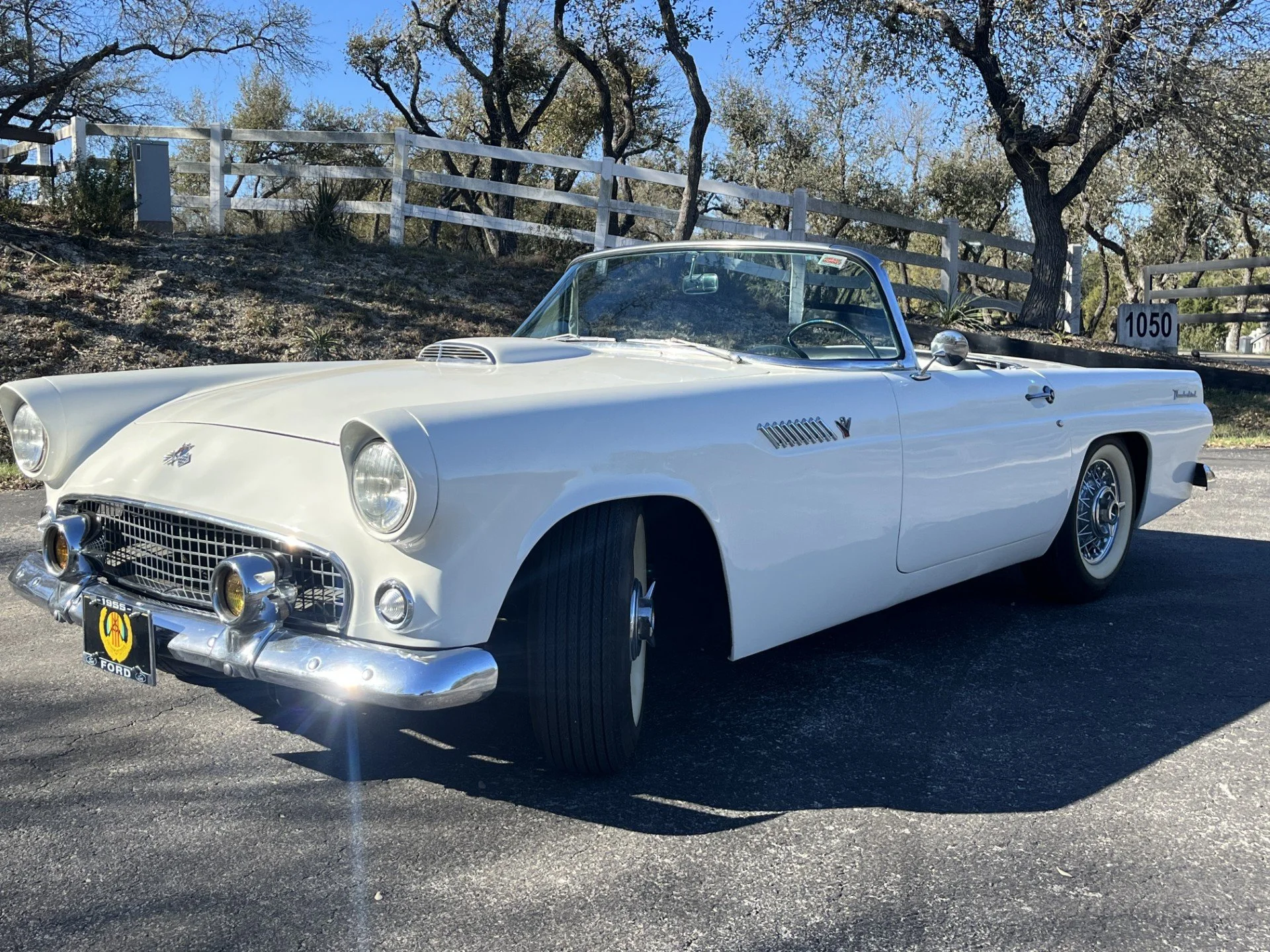 Front Left Tbird.jpg